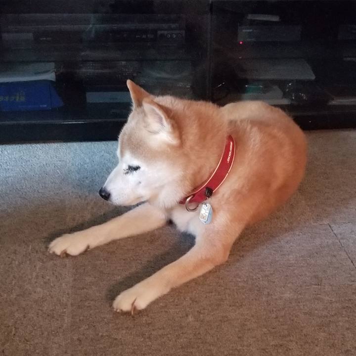 8a8aabf2 f32e 4b38 98c1 9f0809a3b196 1757056401664