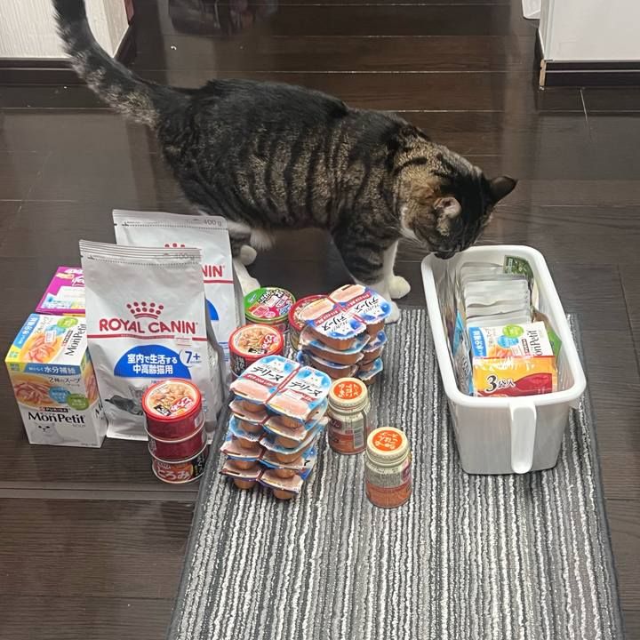 8a8aaf33 ce68 478f b072 06a021b87d32 1759651923452