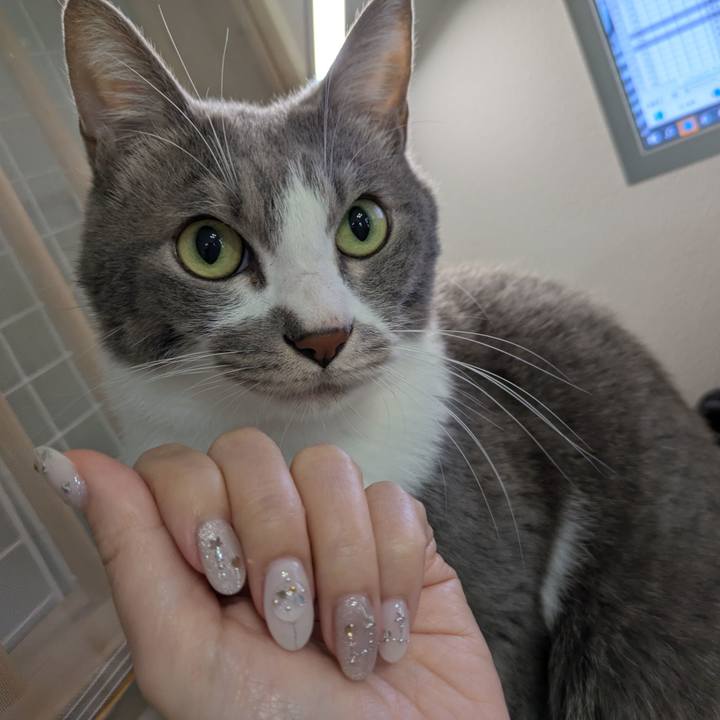 8a8ab737 5a35 4011 a589 1f255b7f4fab 1732600244698