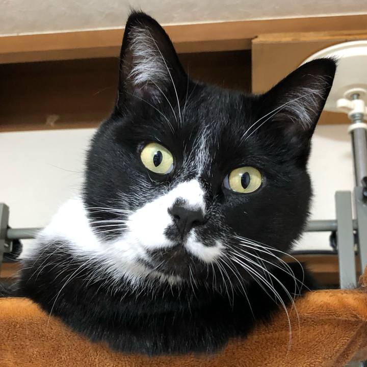 8a8b0560 b3ee 4652 b650 7be7e31b59b7 1645155479833