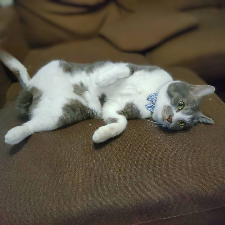 8a8b0e6e a9d2 46f4 8ab5 3b2bd096e0fa 1724935741055