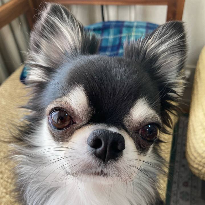 8a8b34a9 668b 4535 bd22 1c2afae62a66 1653826157314