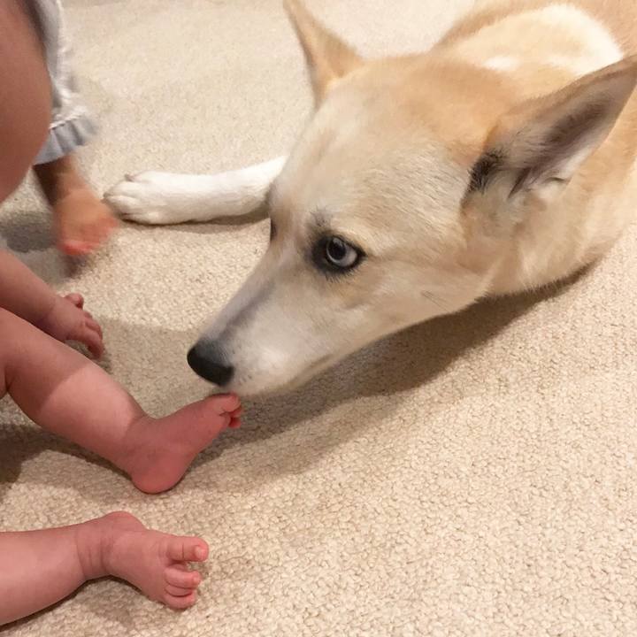 8a8b42ce 777b 400e ab14 04bc53c6a33d 1534155970764