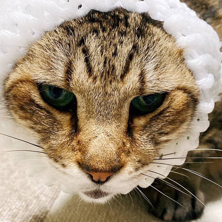 8a8ba658 5250 4a9d 9606 75bcc6ab4f84 1591406717381