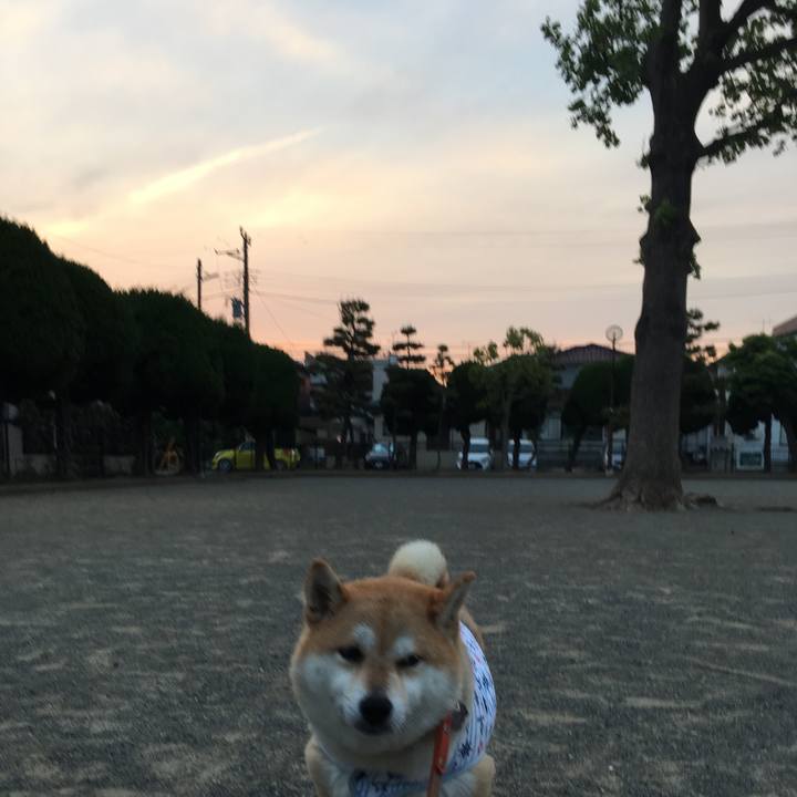 8a8bb89c 9291 4a83 a7fd 958ab41807ad 1557482040683