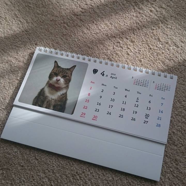 8a8bfbef 9851 489f ae70 19af0e10c0c1 1512990333455