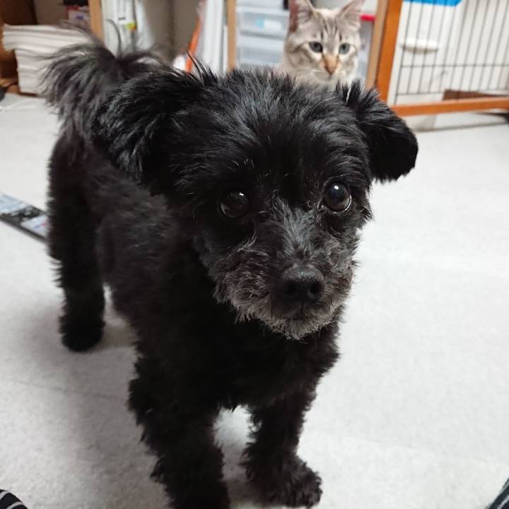 8a8c18e8 6c28 46b6 80ae 4f5cd02a6346 1521110681501