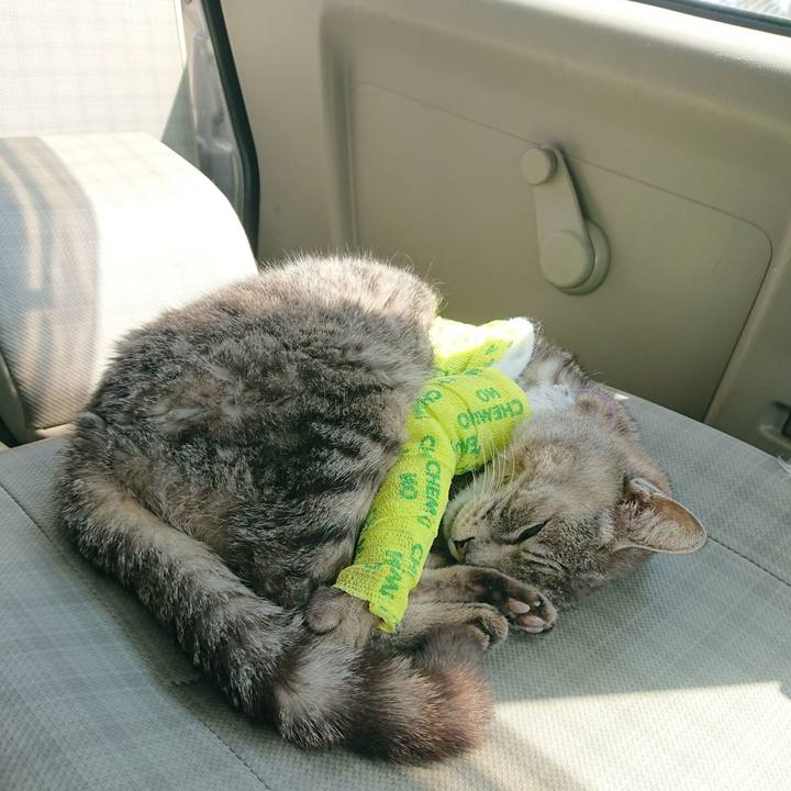 8a8c27aa e532 49e4 b5e8 4f563bfd7e4c 1586404129602