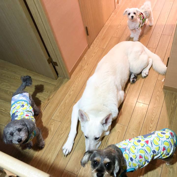 8a8c2d3e e5e7 4e3c 9801 bdd4d4d67110 1558047241750