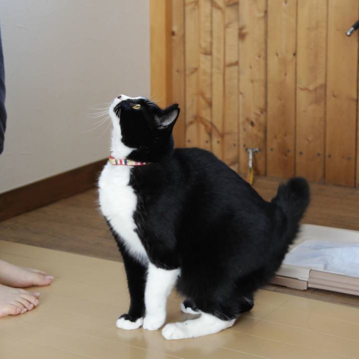 8a8c803f 7284 4b4c ae41 9e988754c6fa 1632324976891