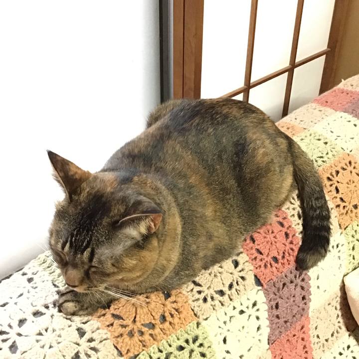 8a8cc961 e436 47d6 8eb7 7d8f71ac3620 1731281297006