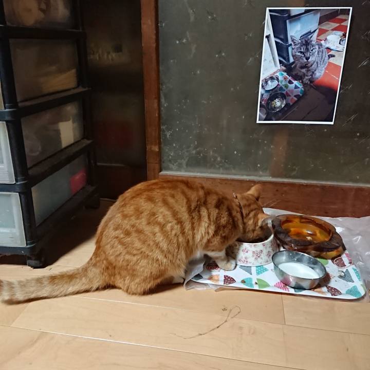 8a8d25d6 a055 43c9 a107 95cb9ce936d1 1602264554793