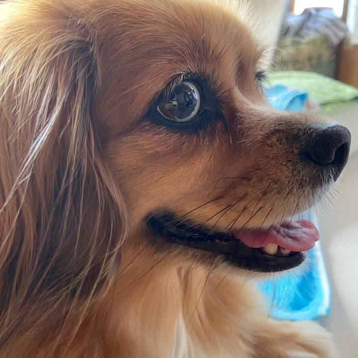 8a8d38a5 4fad 4629 9ebd 1f7e84fee9c7 1663114678612