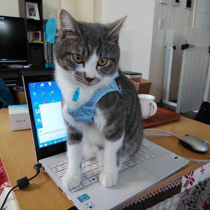 8a8d3db3 7a41 4e22 90e7 1dd02e4d0b7f 1575527063447