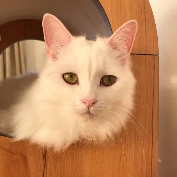 8a8d4763 6b43 47f7 8333 e337da5eec1c 1547205654975