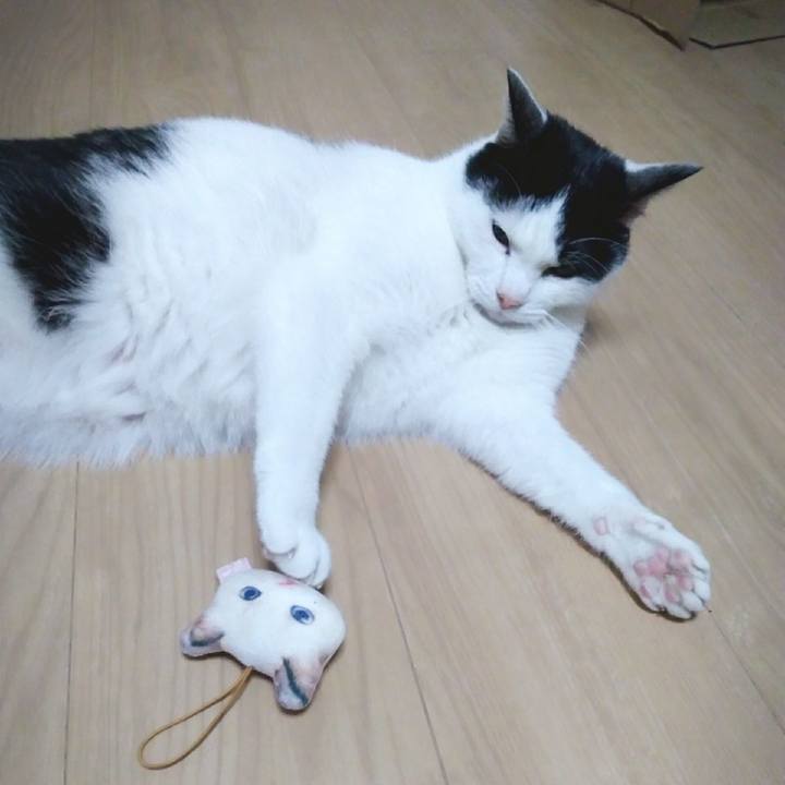 8a8d9885 1421 458c 91c1 3fb0932db83d 1552475215627