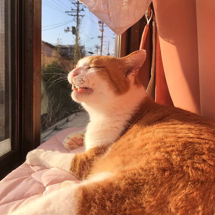 8a8dbec7 a6a8 4860 8e57 83cb2e16e360 1579686652450