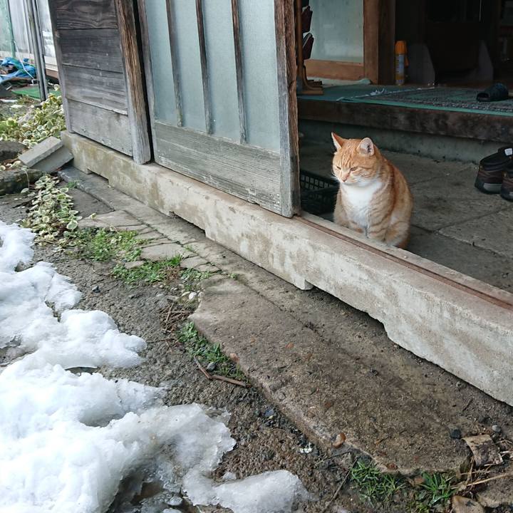 8a8e3e9f 09a1 4353 9c74 76e7a610dd2d 1577948222030