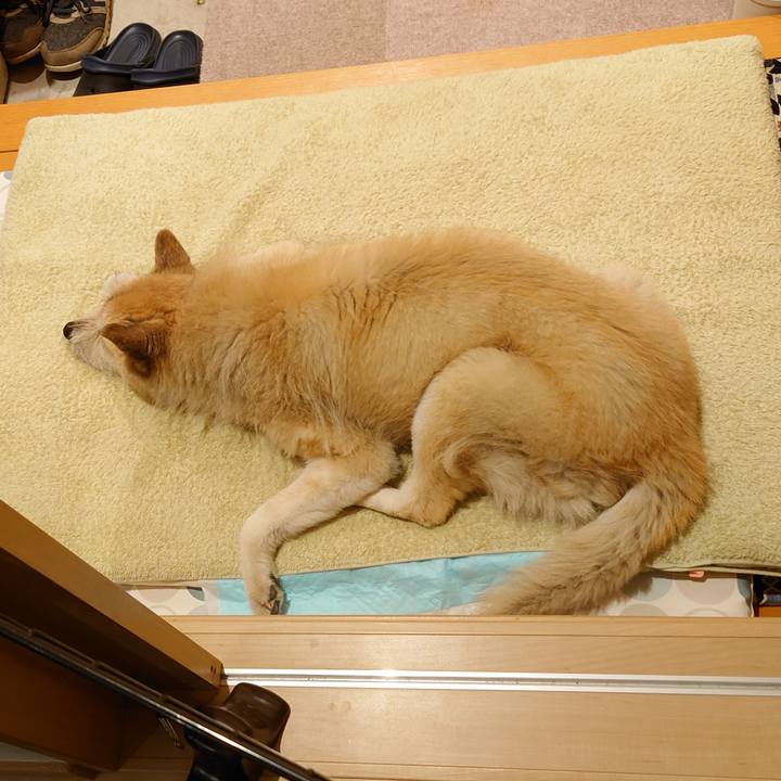 8a8e5205 a00e 4867 b13c 7e379b5eaf42 1617278139892