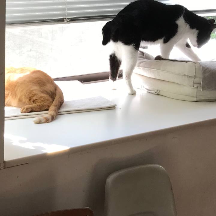 8a8e570d 52c2 45b7 8fb1 0d9188aa6271 1568694854936