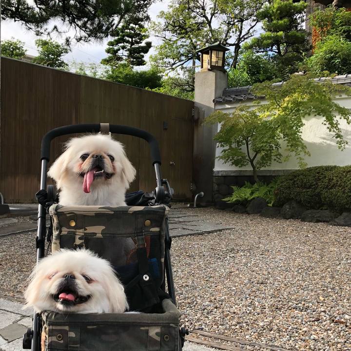 8a8e82bd 308d 4a32 8d69 211aa9748aec 1530682829152