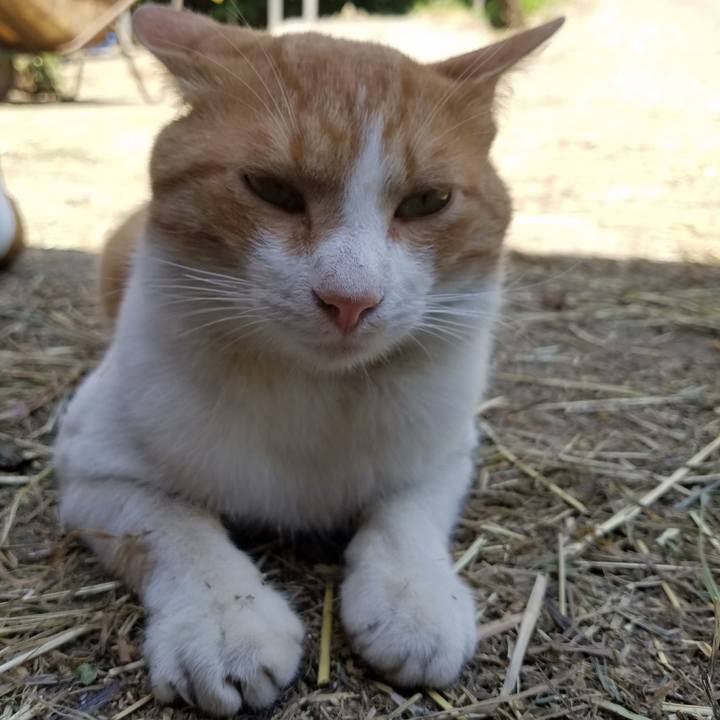 8a8ecb64 7b53 4845 8abe 41fc1398212e 1528431205737