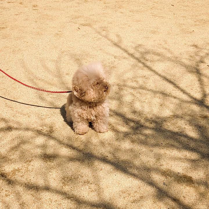 8a8ee530 1ed0 4dee b233 6eb2dd72b817 1520655718087