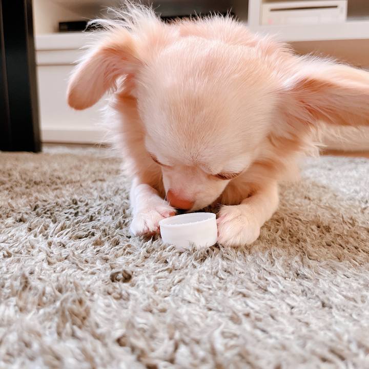 8a8efc80 dff8 4fe9 b972 876673e49cef 1663053221286