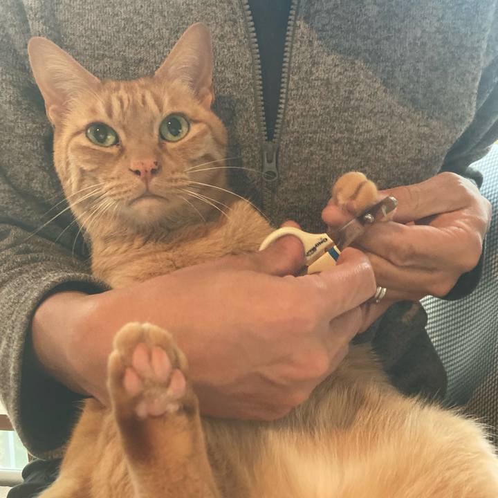 8a8f1db2 ffa0 4d6f 89f5 b764597df3a0 1673654591594