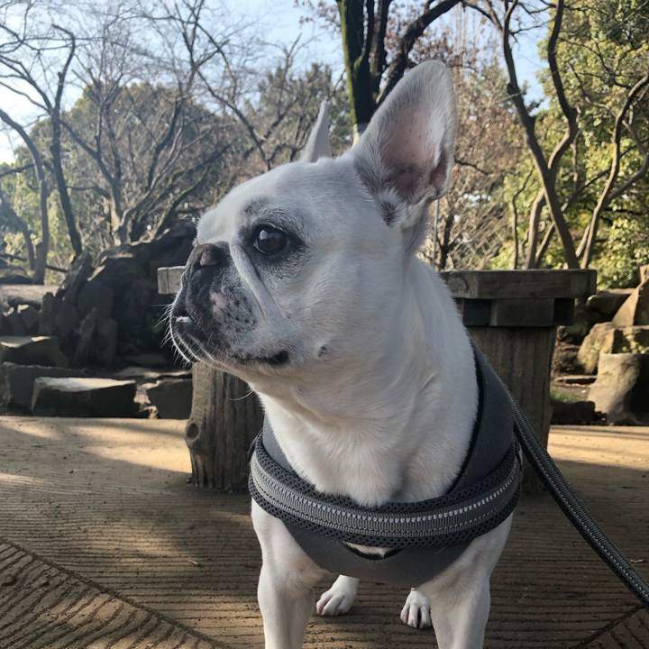 8a8f4067 794e 49c2 ab0f db14f13472ea 1647750312540