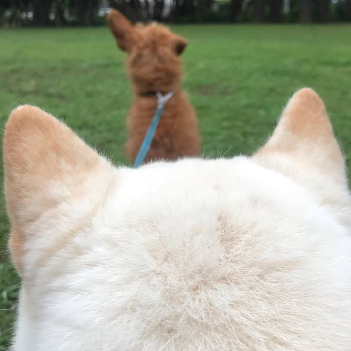 8a8f8446 5e6a 4bd6 989c 15dc25e6019e 1592793921791