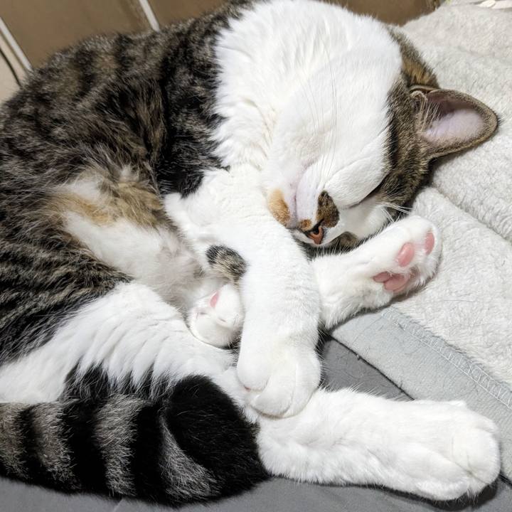 8a8fd3d0 e10b 47a3 9c06 4b759d745184 1688285377726