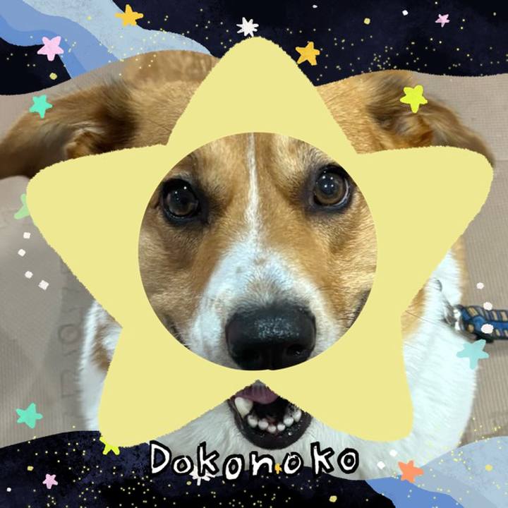 8a8ffeb7 ad37 45da 8ad9 709e8be7ba0c 1721018602123