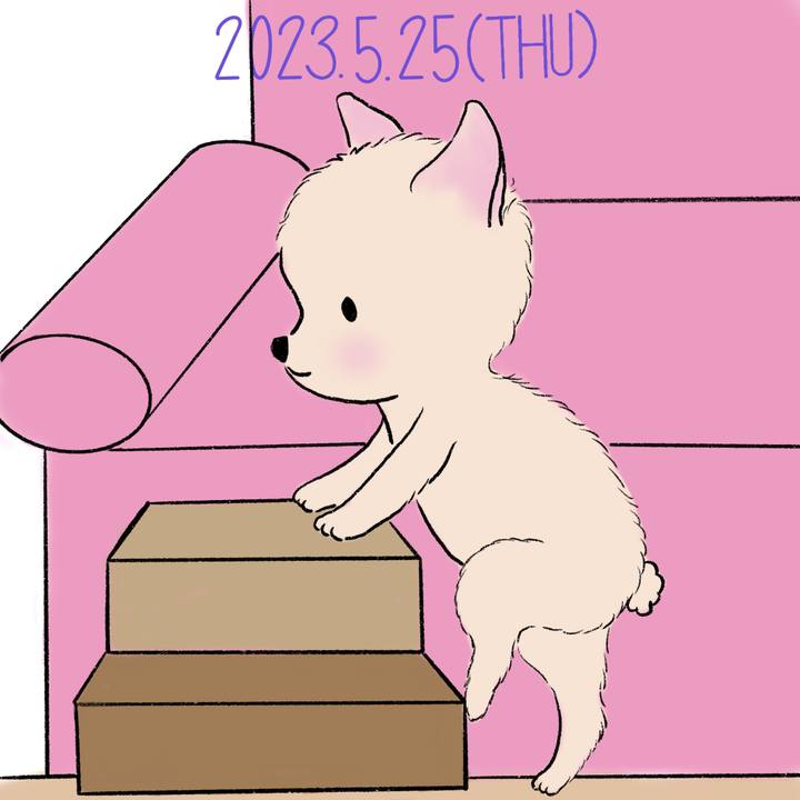 8a8fff63 cbcc 48b5 bc95 5b7707e73610 1685014744102