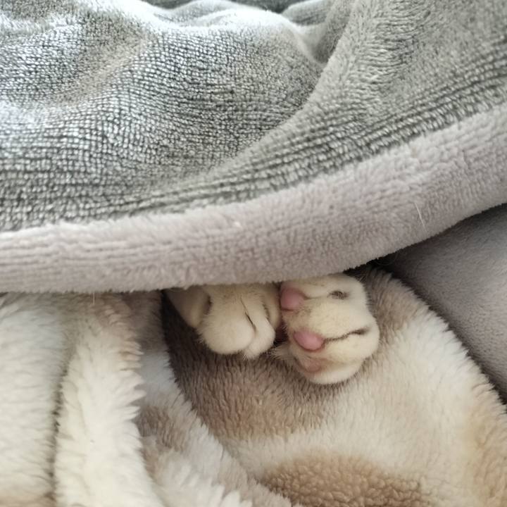 8a901896 05a3 43bf ac68 cc7f836557b2 1762662866444