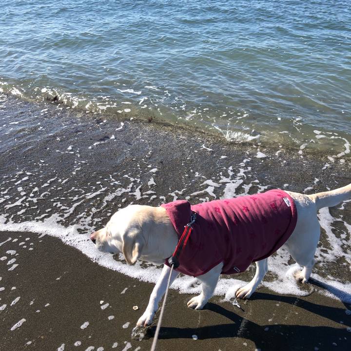 8a902a87 1e50 4766 a6c8 26478eea8e8e 1611314328073