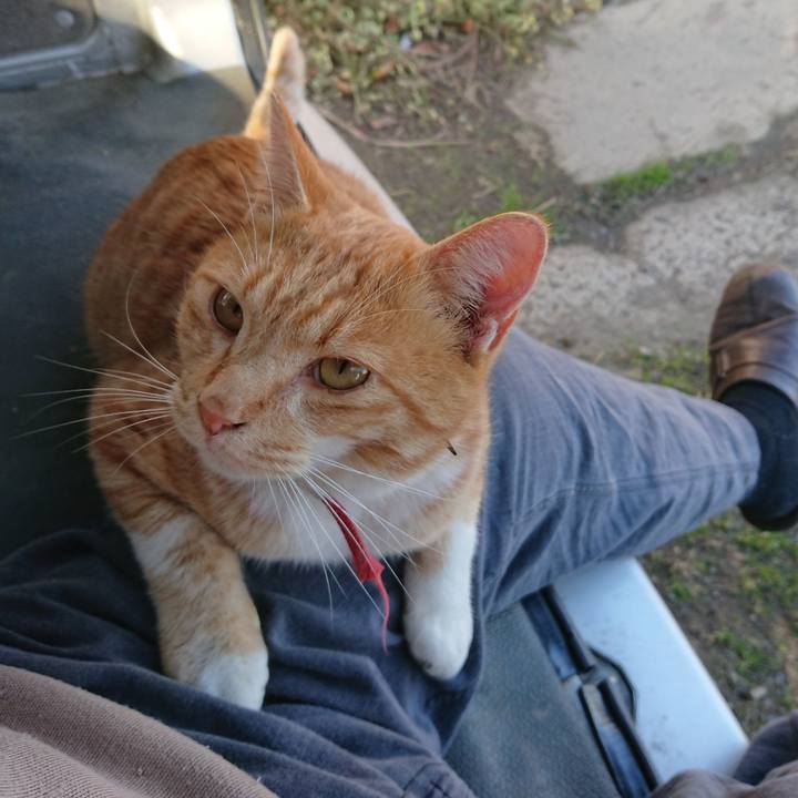 8a902eb5 a16e 4669 b21f e709b9870fc9 1573366442243