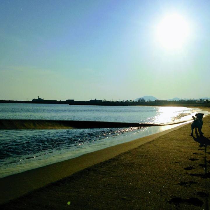 8a90432c e2b1 4367 b71e 595433d86bbf 1587367561199