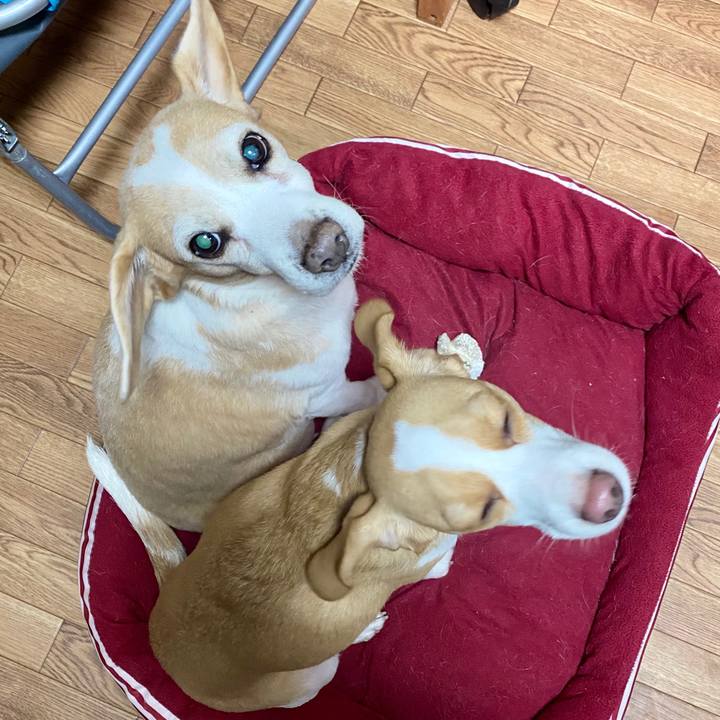 8a904c1a 63eb 4f9f b48d cff47b1caf4b 1579173228807