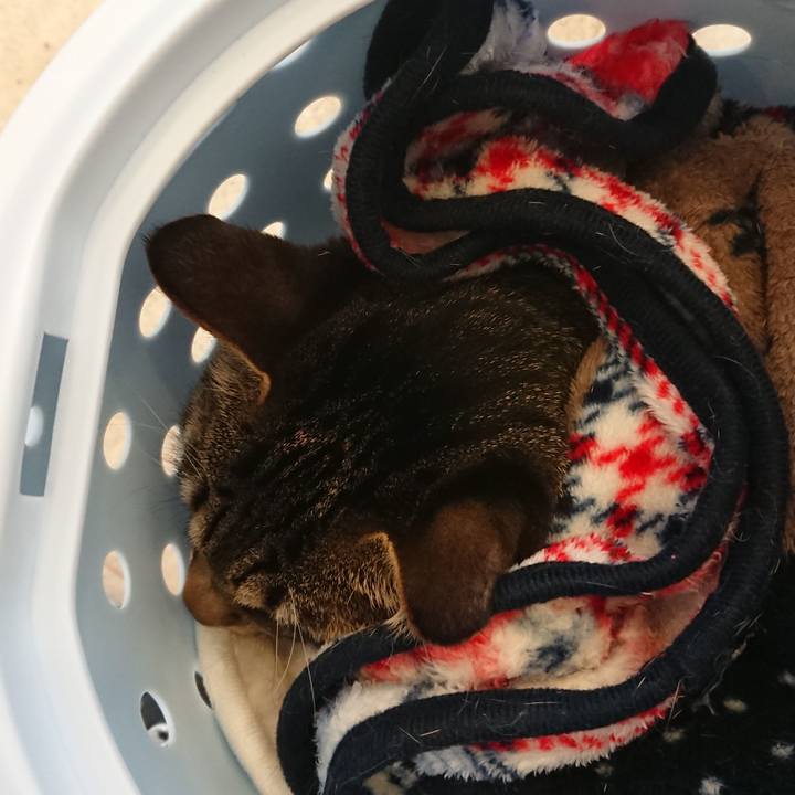 8a9074b6 e277 4b21 a143 834d0f59e169 1513477009096