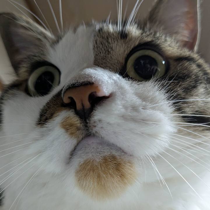 8a90a7b4 6334 4c9d a016 6392b36d2066 1750938610862