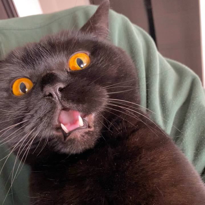 8a90f5e0 be4c 498e bdfc 89250dd5d0e3 1608350013976