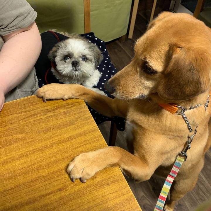 8a912326 13b1 45b4 aaee a1092ce49baf 1561811578231