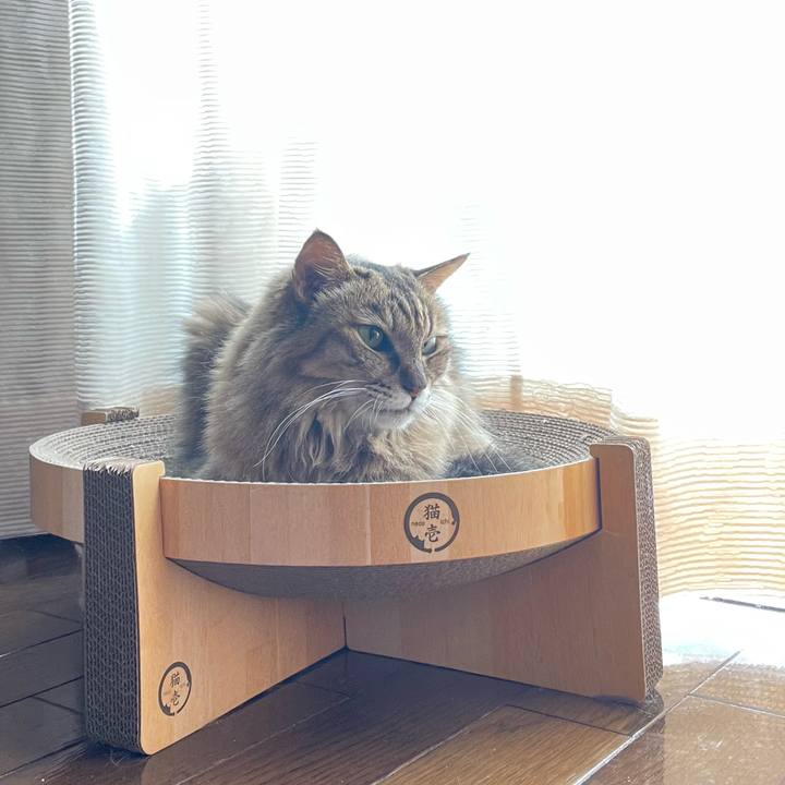 8a916404 e981 4c84 83d1 ca4ba96f67fa 1760057423763