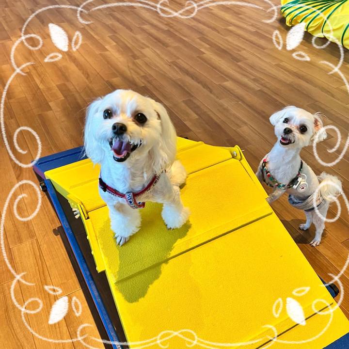 8a91d9e4 efd0 4f1c 888e 43f97e211bc0 1658456130947