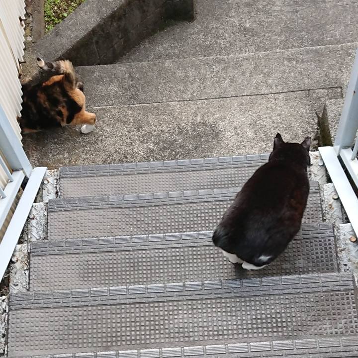 8a91f2d0 301f 4acc 8fba 5825d43c9ef3 1647500818670