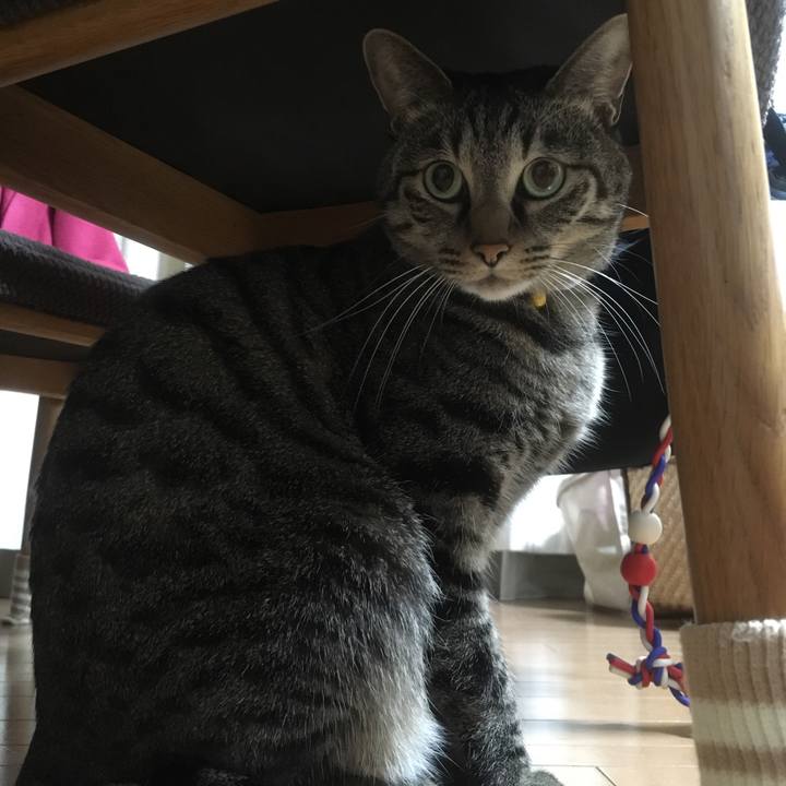 8a920079 136c 4ffe 92d0 266ec2cb073d 1577009516165