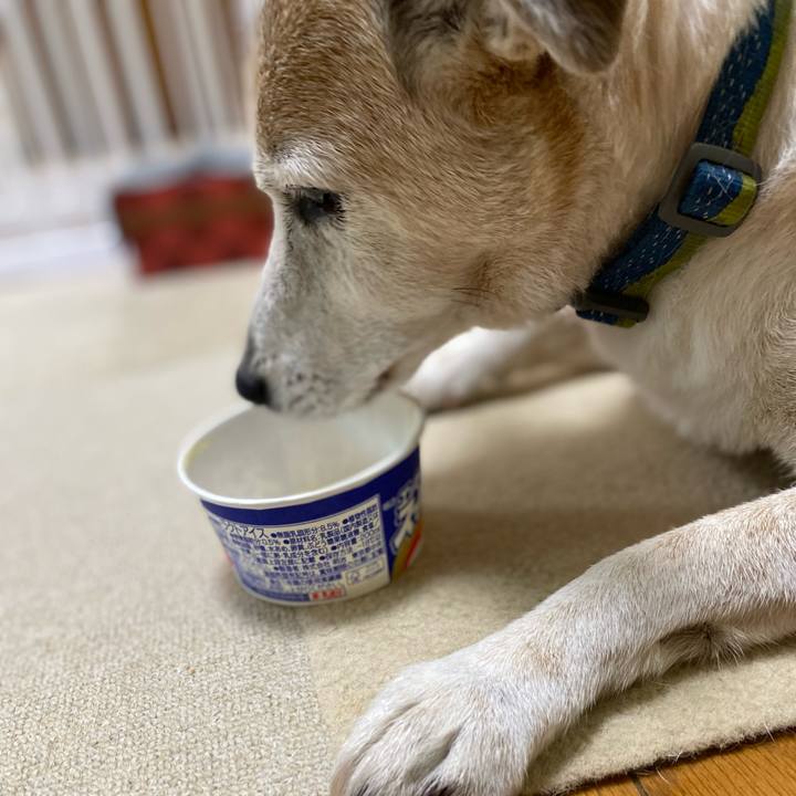 8a92421a 86f7 4643 bed4 9f0c0adee055 1689546144920