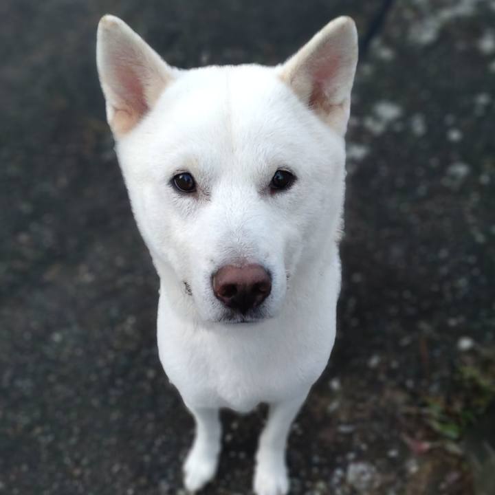 8a92b149 c78b 4504 805b 4e20a568a10b 1671798694028