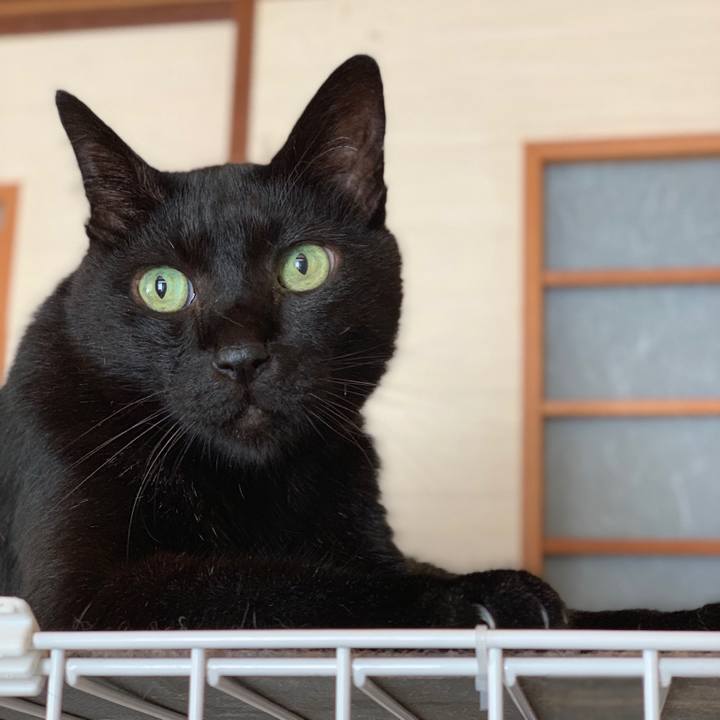 8a92d249 d797 4470 a7be 75391a3ddfc8 1565571470662